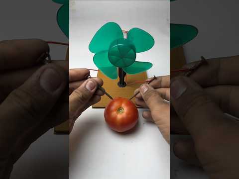 How to Make A free Tamato Fan 💀☠️ #shorts #viral #treanding