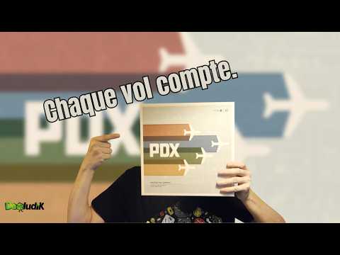 PDX| Construire un Réseau Aérien Intelligent | Règles + Solo + Avis | Waterworks Games