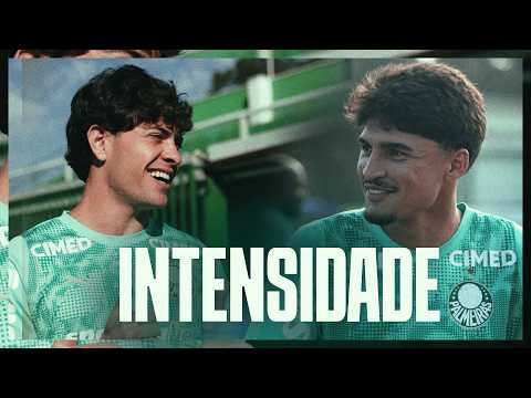 image para ilustrar o artigo
