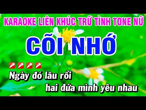 Karaoke Liên Khúc Trữ Tình Nhạc Sống Dễ Hát Tone Nữ – Cõi Nhớ | Hoài Phong Organ