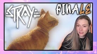 Jocelyn Plays Stray | Finale