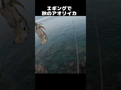 thumbnail_FFKhIgwpbmE