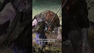 Unravel your past and preserve the future in Elden Ring: Nightreign