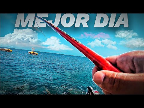 ¡¡INCREÍBLE!! 😱 La PESCA Que Me Dió Esta CARNADA 😳 | Mi PRIMERA BICUDA 🎣 (Pesca islas canarias TNF)