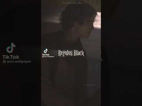 ~R.A.B~ #harrypotter#hogwarts#wizard#marauders#slytherin#regulus#black#rab#hp#fyp#edit#shorts#harry