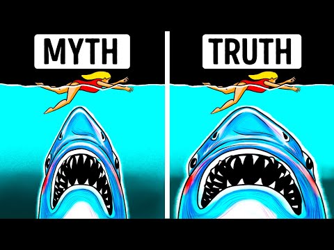 Biggest Myths About Megalodon Movies Made Us Believe