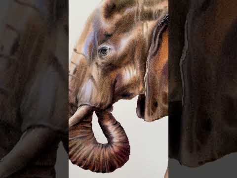 My elephant painting in watercolor | Wet on Wet Technique #watercolorwetonwet
