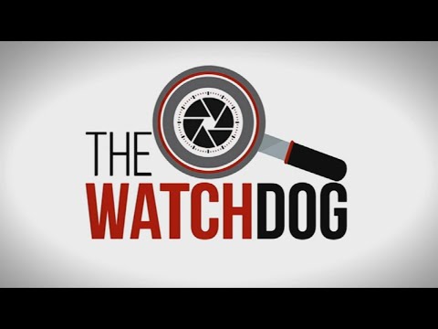 The Watchdog: 16 August 2021