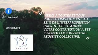 Rapport d'activité 2022-2023 de l'ANICAP