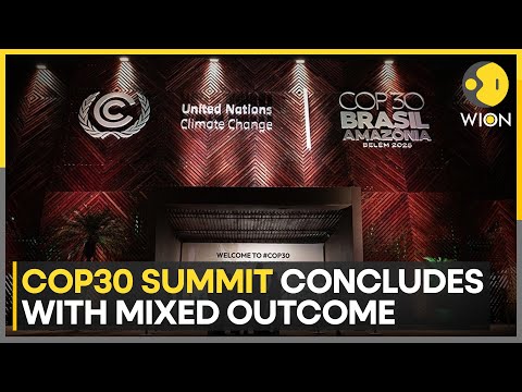 Cop30 Summit: Cop30 in Brazil Fails to Secure New Pledges to Cut Fossil Fuels | WION