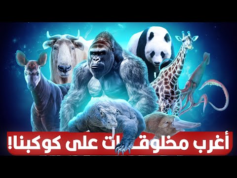 حيوانات أسطورية تم اكتشافها بالفعل