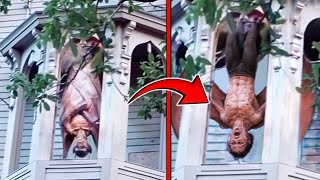 Bone Chilling Footage Cameras Accidentally Captured!