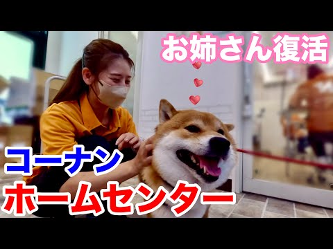 コーナンのお姉さんと…復活！？