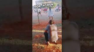 Balonazo Por Mirón 😂 #Shorts