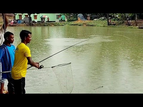 Big fish! Rainy fishing life of villagers!