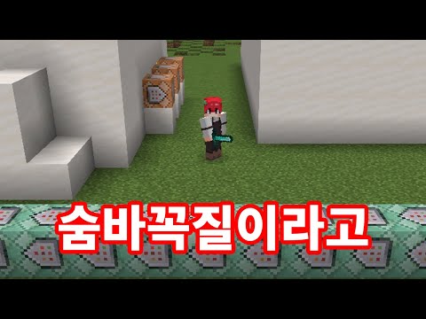 이게 숨은 거라고...? [마인크래프트]