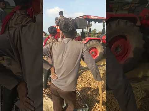 #shortvideo #viralvideo #new #song #gujarati #viral