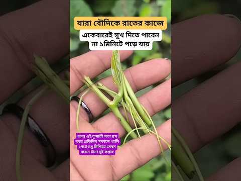 #plantsofindia #plants #shortvideo#gardenplants #garden การตอนมะละกอ โดยไม่ใช้ดิน ไม่ใช้ แกลบ.
