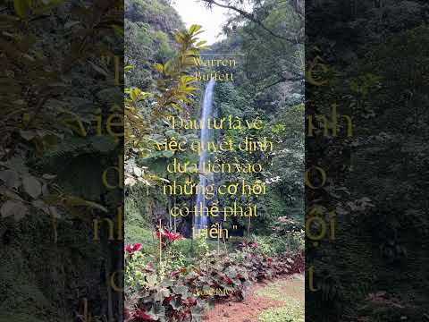 Đầu Tư Thông Minh