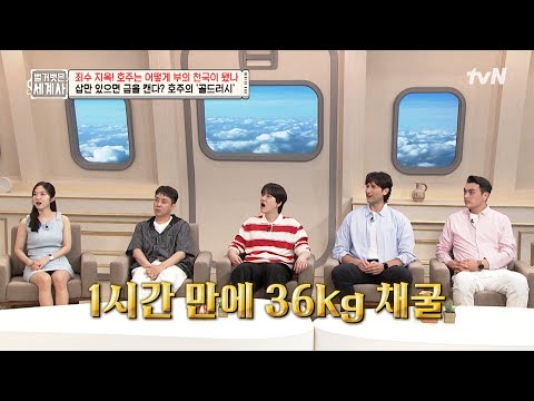 1시간 동안 금을 캐면 현재 시세로 58억 원을 벌 수 있었던 호주의 '골드러시' #벌거벗은세계사 EP.210 | tvN 250701 방송