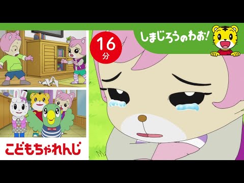 【16分アニメ】お兄ちゃんとケンカしちゃった...素直にごめんって言えるかな？ | 仲直り・家族愛 | しまじろうのわお！アニメ | しまじろうチャンネル公式