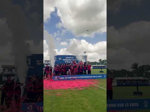 image para ilustrar o artigo