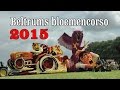 Videoverslag bloemencorso Beltrum 2015