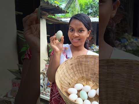 আমাদের হাসের সব ডিমই কি এতো বড়ো বড়ো ? #vlog 227 #minivlog #dailyvlog #shorts #trending #egg