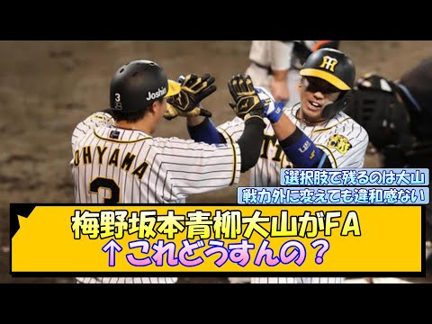 【阪神】梅野坂本青柳大山がFA←これどうすんの？【なんJ/2ch/5ch/ネット 反応 まとめ/阪神タイガース/岡田監督/梅野隆太郎/坂本誠志郎/青柳晃洋/大山悠輔/原口文仁/糸原健斗】