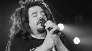 Counting Crows - Meet On The Ledge