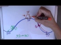 Rounding Numbers Made Easy with a Fun Trick