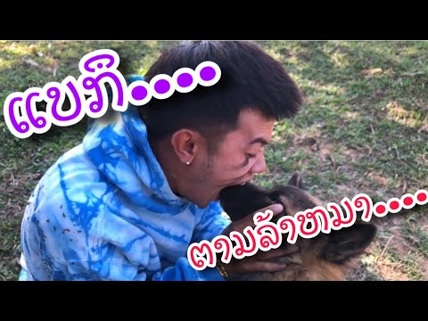 แบร์กิลลาว - ແບກຶ EP.7
