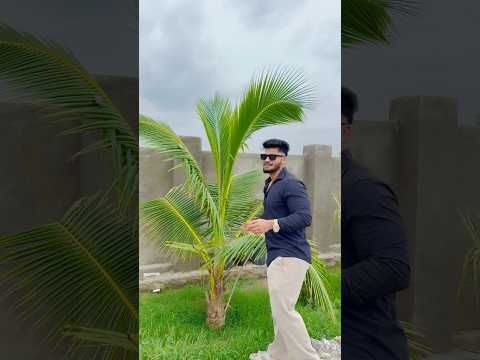 Farmhouse tour