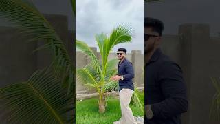 Farmhouse tour