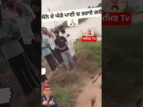 ਸੋਨੇ ਦੇ ਘੋੜੇ ਪਾਣੀ ਚ ਤਰਾਏ ਗਏ #2025shorts #ac260 #asiancountries #americe #farming #farm #ਅਮਰੀਕਾ