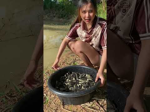 ปล่อยปลา #ปลาข่อน #fish #วิถีชีวิตบ้านๆ