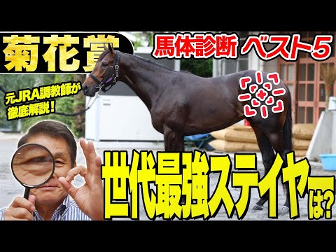 【菊花賞2025】中村均元調教師が馬体診断ベスト5を発表 未知の距離を激走する可能性を秘めるのはこの馬!《東スポ競馬》