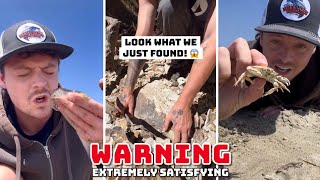 Extremely Satisfying Animals Compilation | NEW!