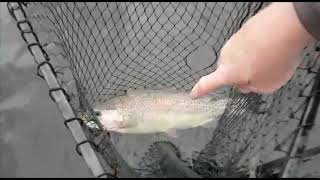 Langley dam fishing