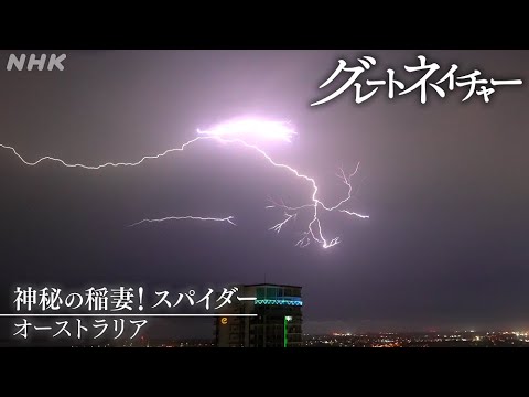 [グレートネイチャー] 神秘の稲妻！スパイダー ～オーストラリア～ | NHK