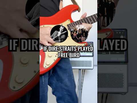 If Dire Straits Played Free Bird - @LAVAMUSICOFFICIAL