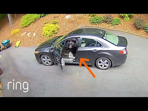 Yet One More Reason to Always Lock Your Car | RingTV