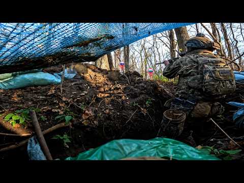 Through the Silent Woods | Azov Assault Teams in a Dangerous Frontline Operation