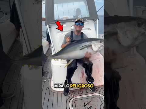 Buceando con peces, estos hombres 😮