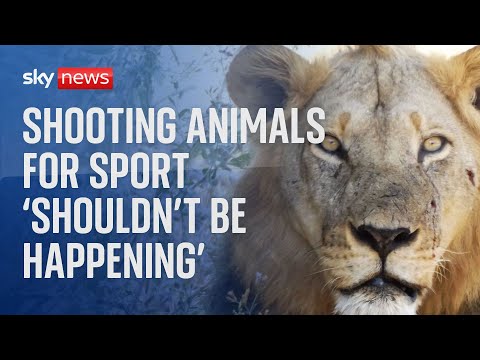 Shooting animals for sport 'shouldn't be happening'