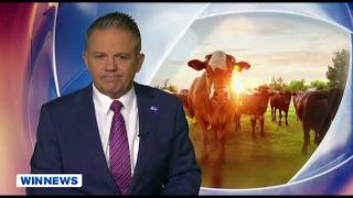 WIN News Central West - 03/08/2026