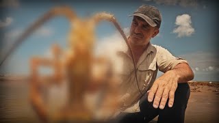 TRAGIQUE DÉCOUVERTE DANS UN FILET FANTÔME - Cyril Chauquet