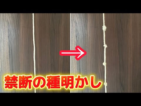 【種明かし】プロも愛用する衝撃ロープマジック【magic trick】