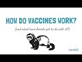 Antibodies and Vaccine Research Concepts
