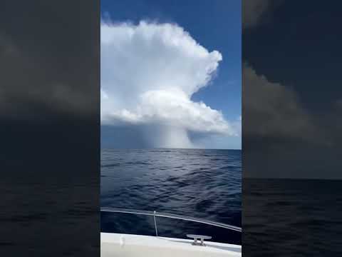 Caught in a Sudden Ocean Storm